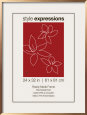 Molduras Posters