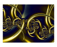 Black And Gold Lámina fotográfica por Vicky Brago-Mitchell