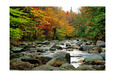 Autumn Colors, Lost River, New Hampshire Photographie par George Oze