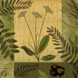 Floral & Botanical Posters