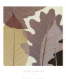 Four Leaves I Kunstdruk van Steven N. Meyers
