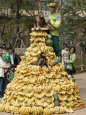 Playful Orangutans, Seoul, South Korea, c.2007