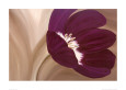 Flores violetas (arte decorativo) Pósteres