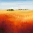 Red Fields II Lámina por Hans Paus