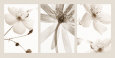 Sepia Floral