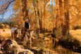 Eric's Fall Ride