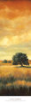 Five Oaks II Lámina por Cory Steffen