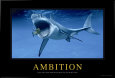 Ambición