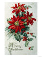 Poinsettia Posters