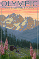 Spring Flowers, Olympic National Park Art Print