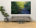 Elkmount Area, Great Smoky Mountains National Park, Tennessee, USA Reproduction murale géante par Darrell Gulin