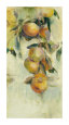 Allyson Krowitz Posters