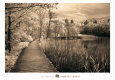 Take My Lead II Art Print by Ily Szilagyi