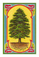 Cèdres Posters