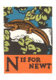 Amphibiens pour les enfants Posters