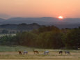 Countrysides (Color Photography) Posters