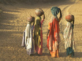 Visages d'Inde (photographie) Posters