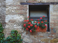 Flowers in a Window In a Tuscan Village, San Quirico d'Orcia, Italy Photographic Print by Dennis Flaherty