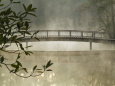 Pond in Fog with Bridge, Callaway Gardens, Georgia, USA