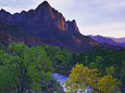 The Watchman Peak and the Virgin River, Zion National Park, Utah, USA Fotografiskt tryck av Dennis Flaherty