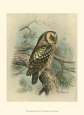 F.w. Frohawk Posters