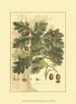 Antique Oak Tree Art Print by John Miller (Johann Sebastien Mueller)