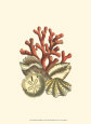 Coral Medley II Reproduction d'art