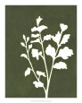 Four Seasons Foliage II Kunstdruck von Megan Meagher