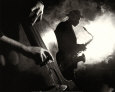 Jazz Kunsttryk af Nick White