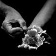 Offrande a l'Horte Reproduction d'art par Stephane De Bourgies