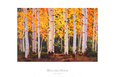 Late Light Lámina por William Hook