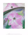 Petunia no. 2 Lámina por Georgia O'Keeffe
