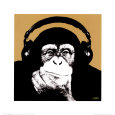 Steez Posters