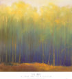 Deep Woods in Summer Lámina por Teri Jonas