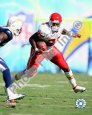 Larry Johnson (NFL) Posters