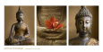 Spiritual Knowledge Lámina por Tom Weber