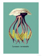 Ernst Haeckel Posters