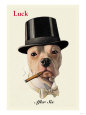 Dog in Top Hat Smoking a Cigar Premium Poster