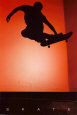 Skate Poster