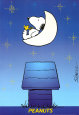 Peanuts / Charlie Brown Affiches