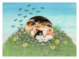 Cat-titude