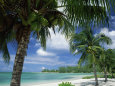 Coastal Landscapes (Robert Harding Imagery) Posters