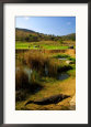 Crocodile at the 13th Hole of the Lost City Golf Course, Sun City, South Africa