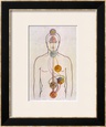 C.w. Leadbeater Posters