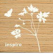 Inspire Posters