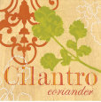 Cilantro