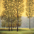 Misty Morning II Lámina por Neil Thomas