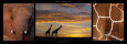 Giraffes at Dusk Kunstdruck von Michel & Christine Denis-Huot