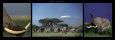 Elephants and Kilimanjaro Reproduction d'art par Michel & Christine Denis-Huot