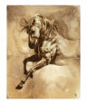 Baroque Horse Series III: III Giclee Print by Heather Theurer